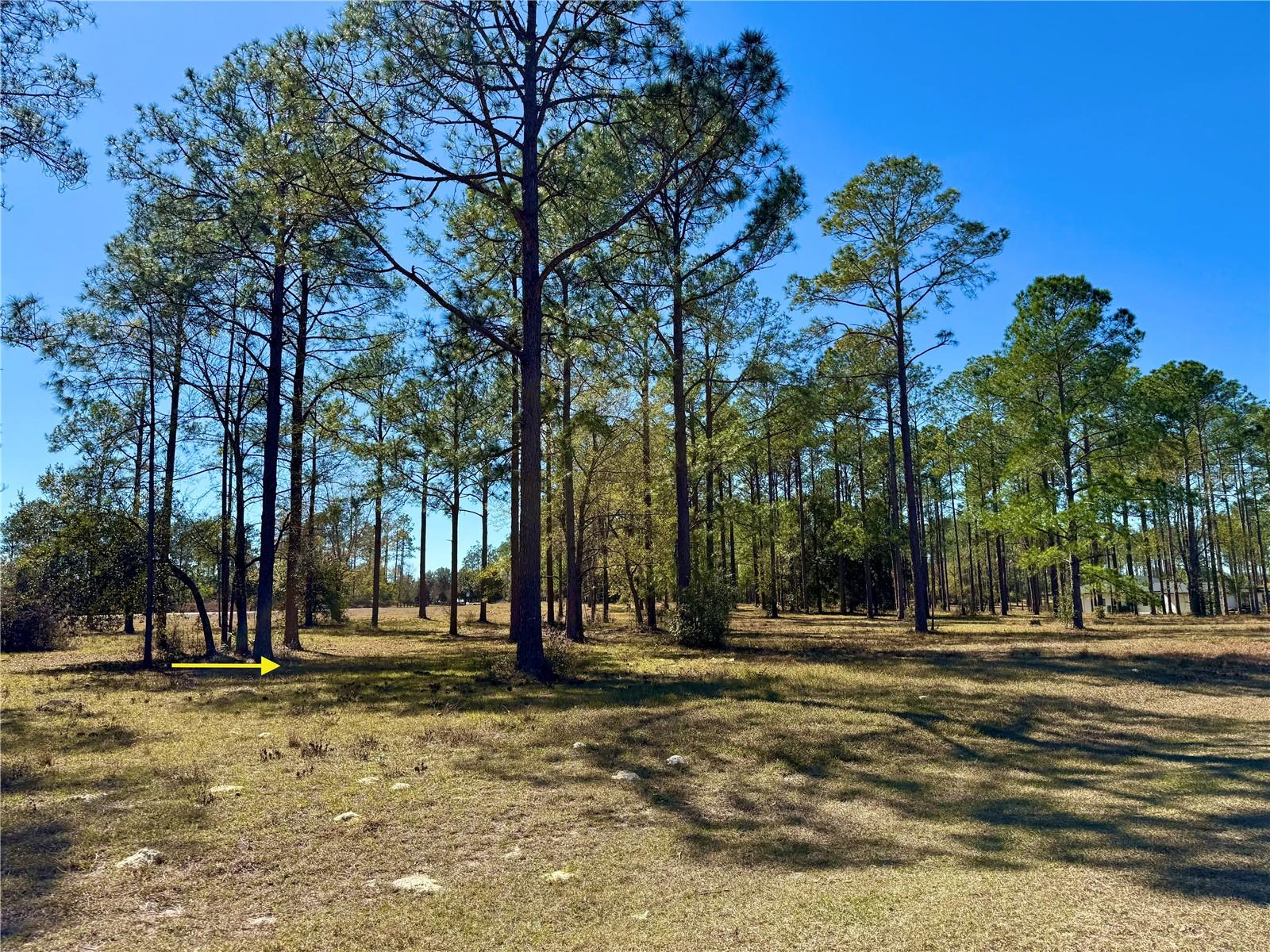 35135 PINEGATE TRL, EUSTIS, FL — photo 17