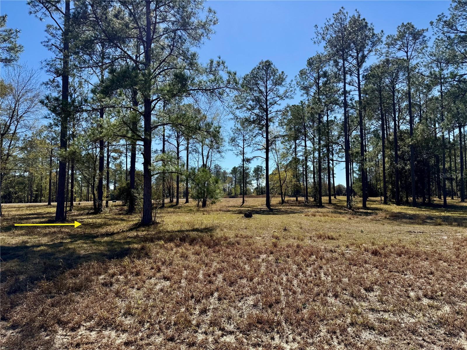 35135 PINEGATE TRL, EUSTIS, FL — photo 19