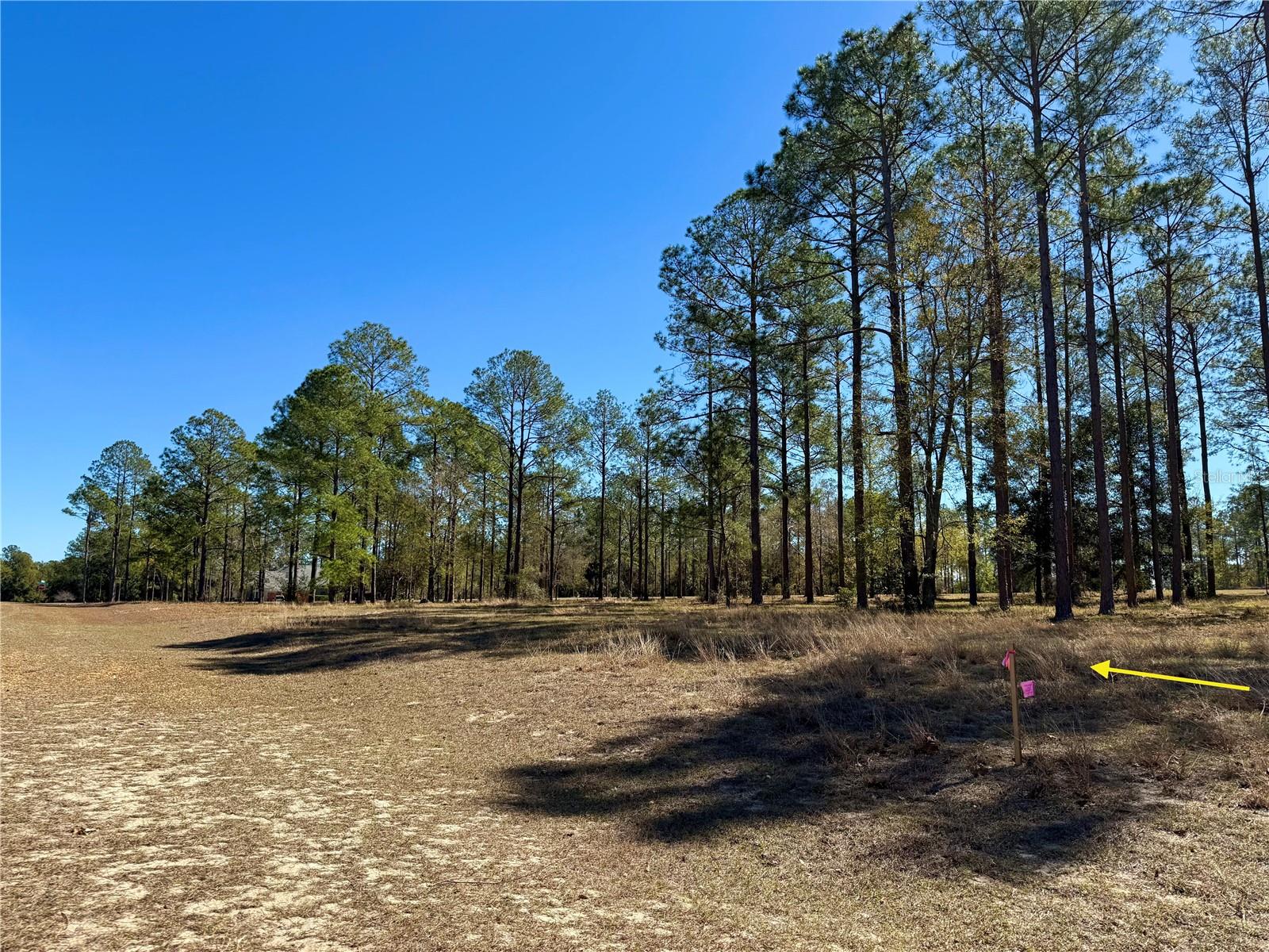35135 PINEGATE TRL, EUSTIS, FL — photo 22
