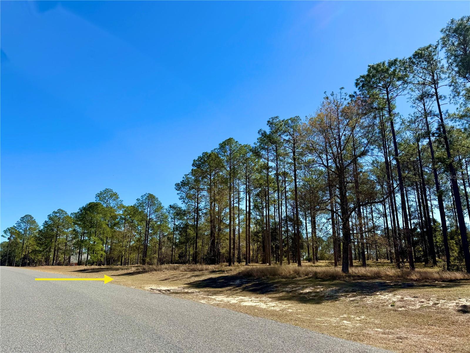 35135 PINEGATE TRL, EUSTIS, FL — photo 23