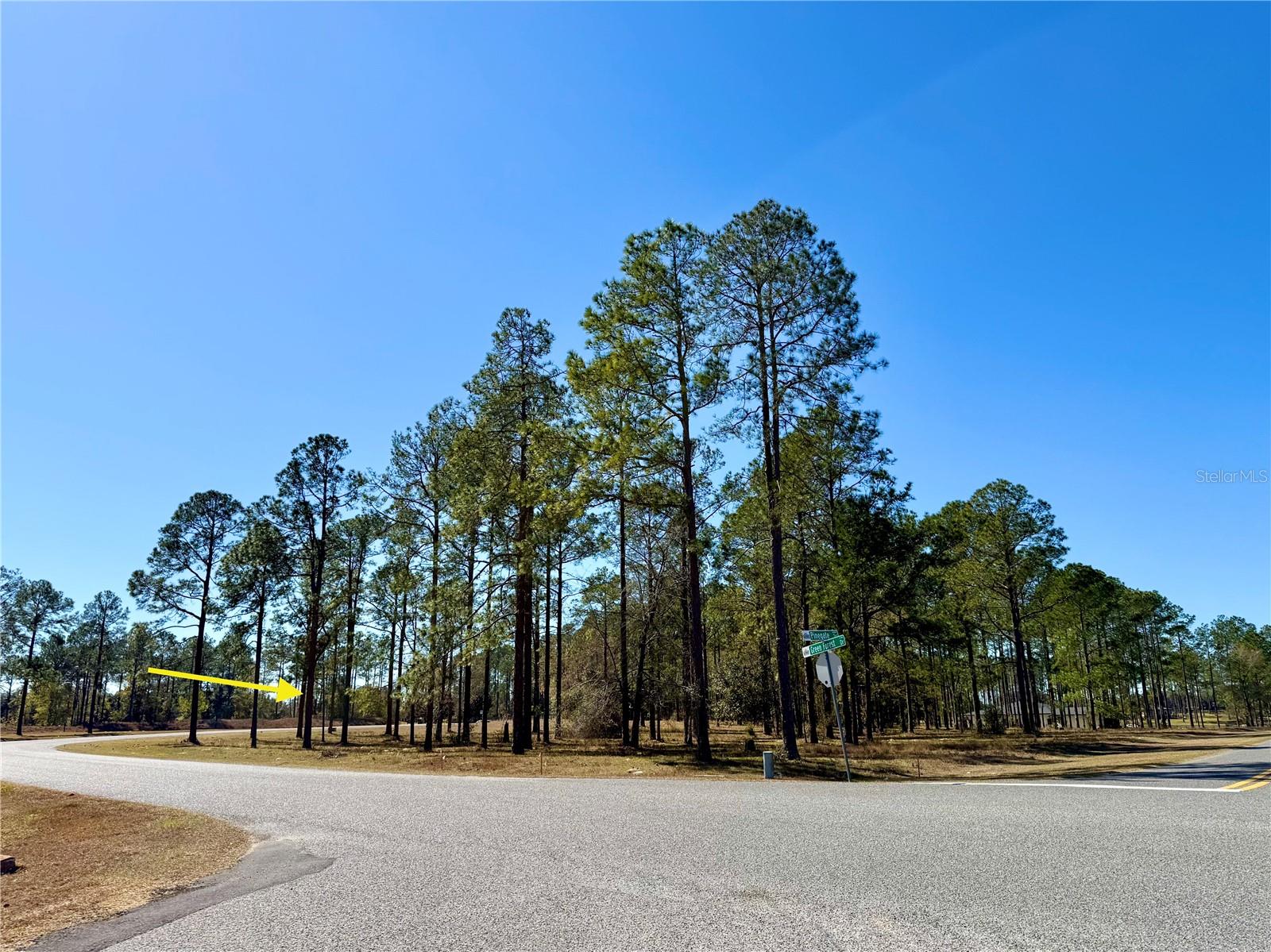 35135 PINEGATE TRL, EUSTIS, FL — photo 25