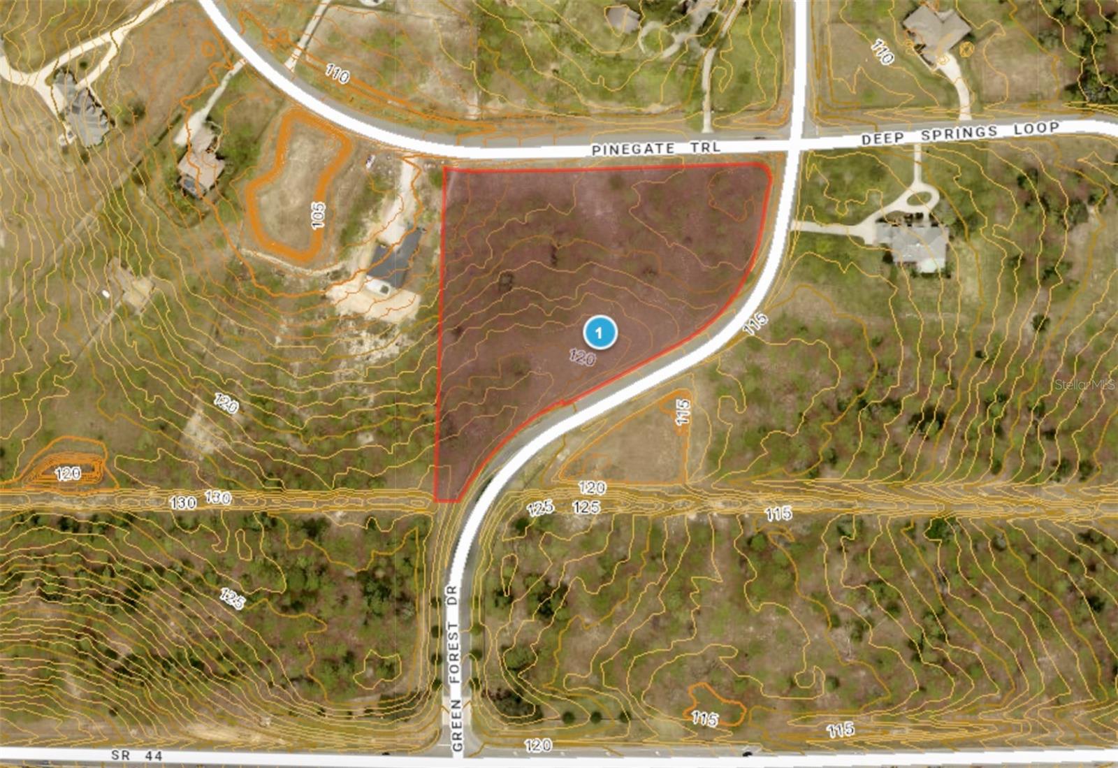35135 PINEGATE TRL, EUSTIS, FL — photo 28