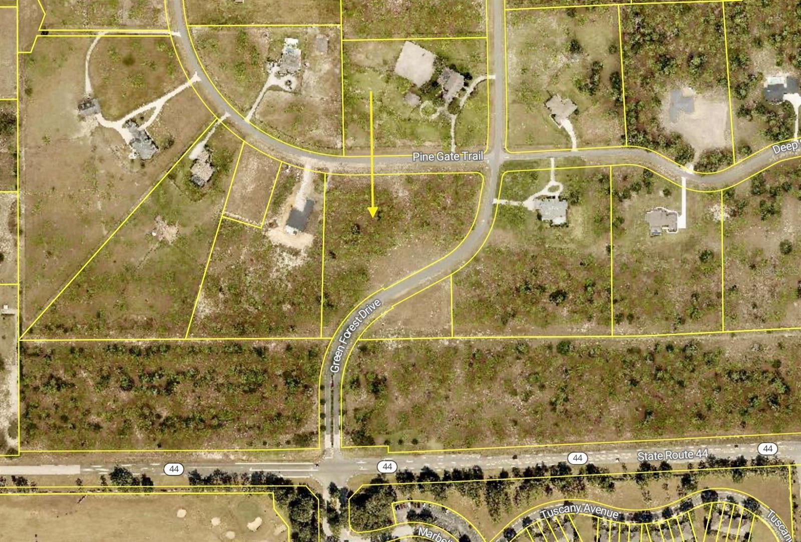 35135 PINEGATE TRL, EUSTIS, FL — photo 29