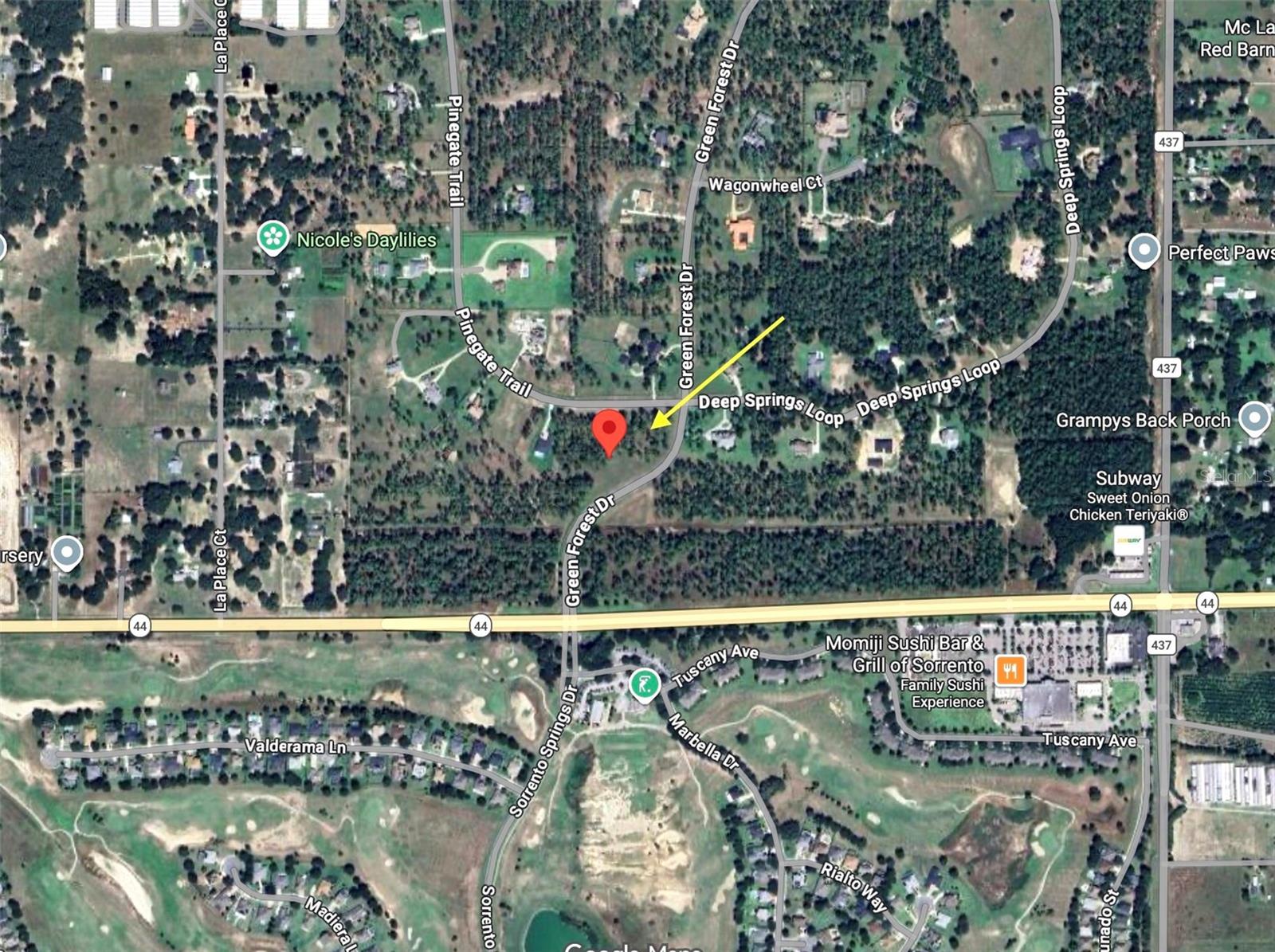35135 PINEGATE TRL, EUSTIS, FL — photo 32