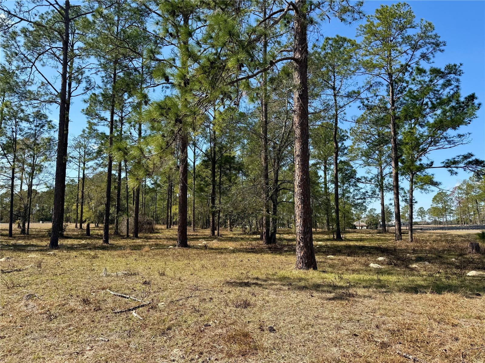 35135 PINEGATE TRL, EUSTIS, FL — photo 38