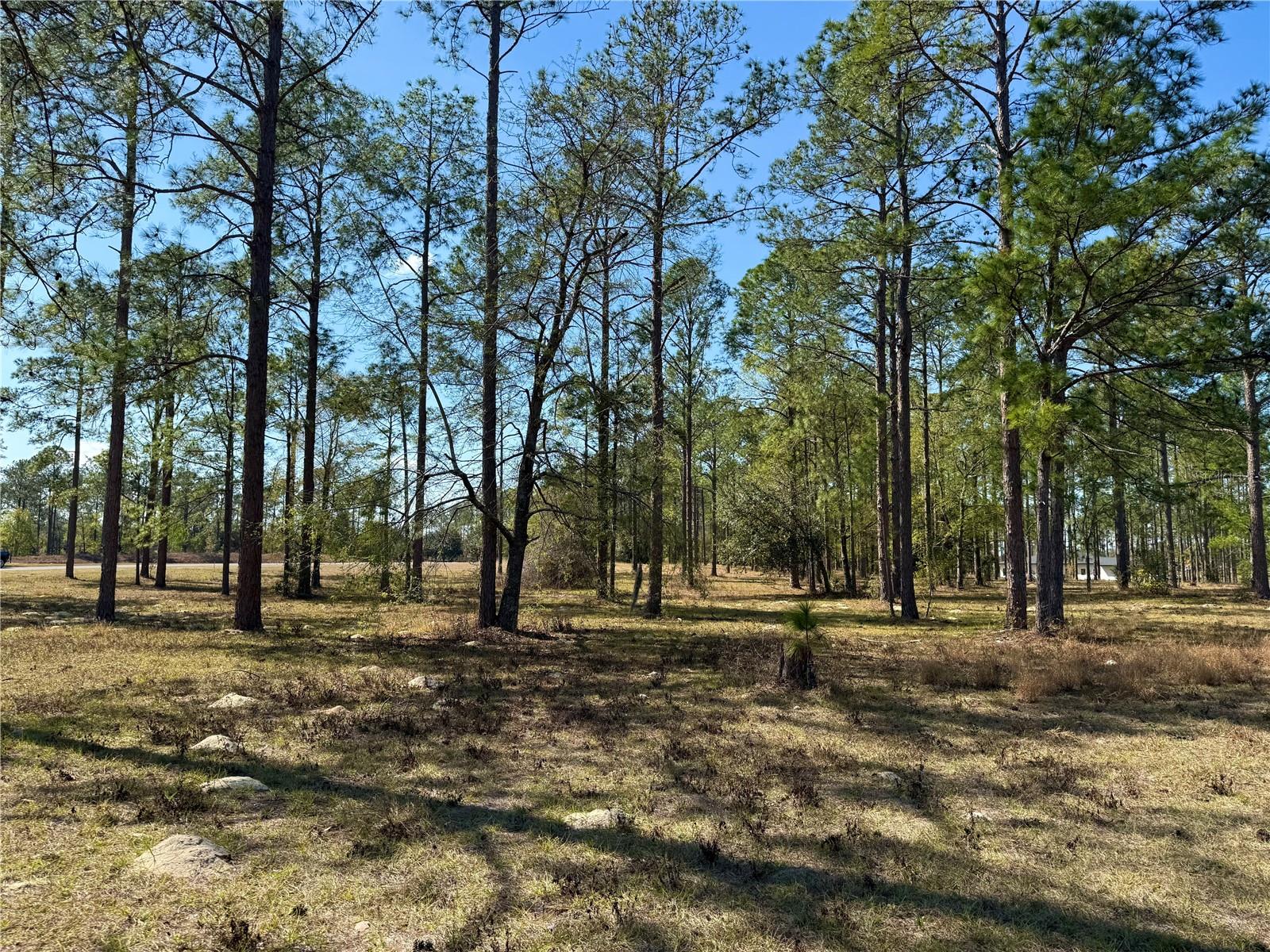 35135 PINEGATE TRL, EUSTIS, FL — photo 39
