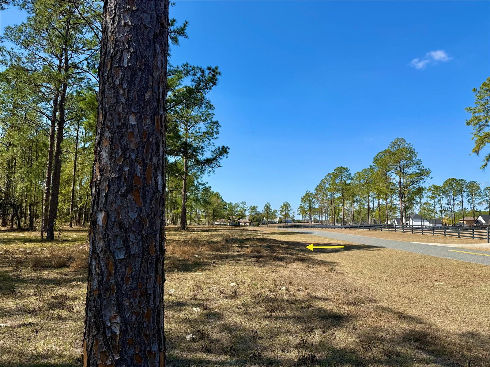 35135 PINEGATE TRL, EUSTIS, FL — photo 42