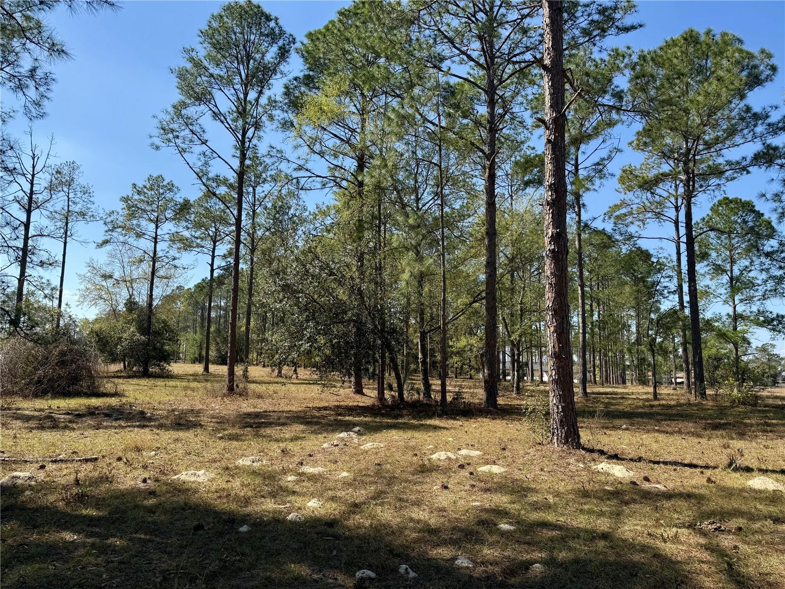 35135 PINEGATE TRL, EUSTIS, FL — photo 43