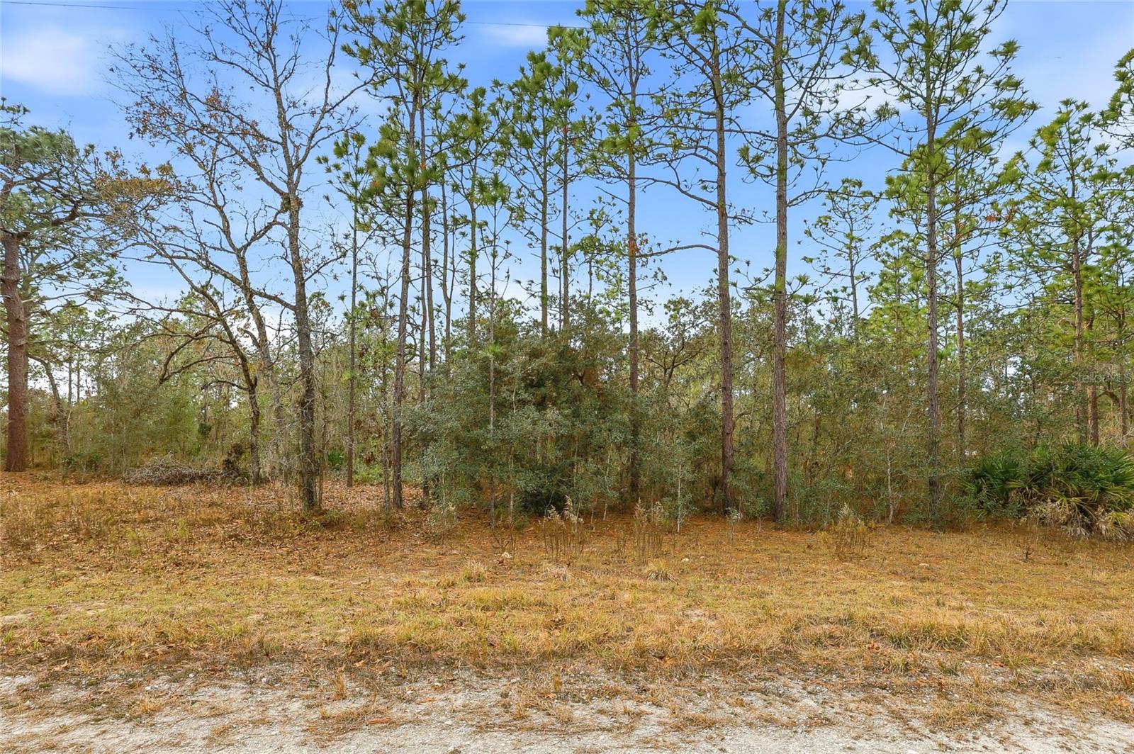 CAYMAN RD, WEEKI WACHEE, FL — photo 5