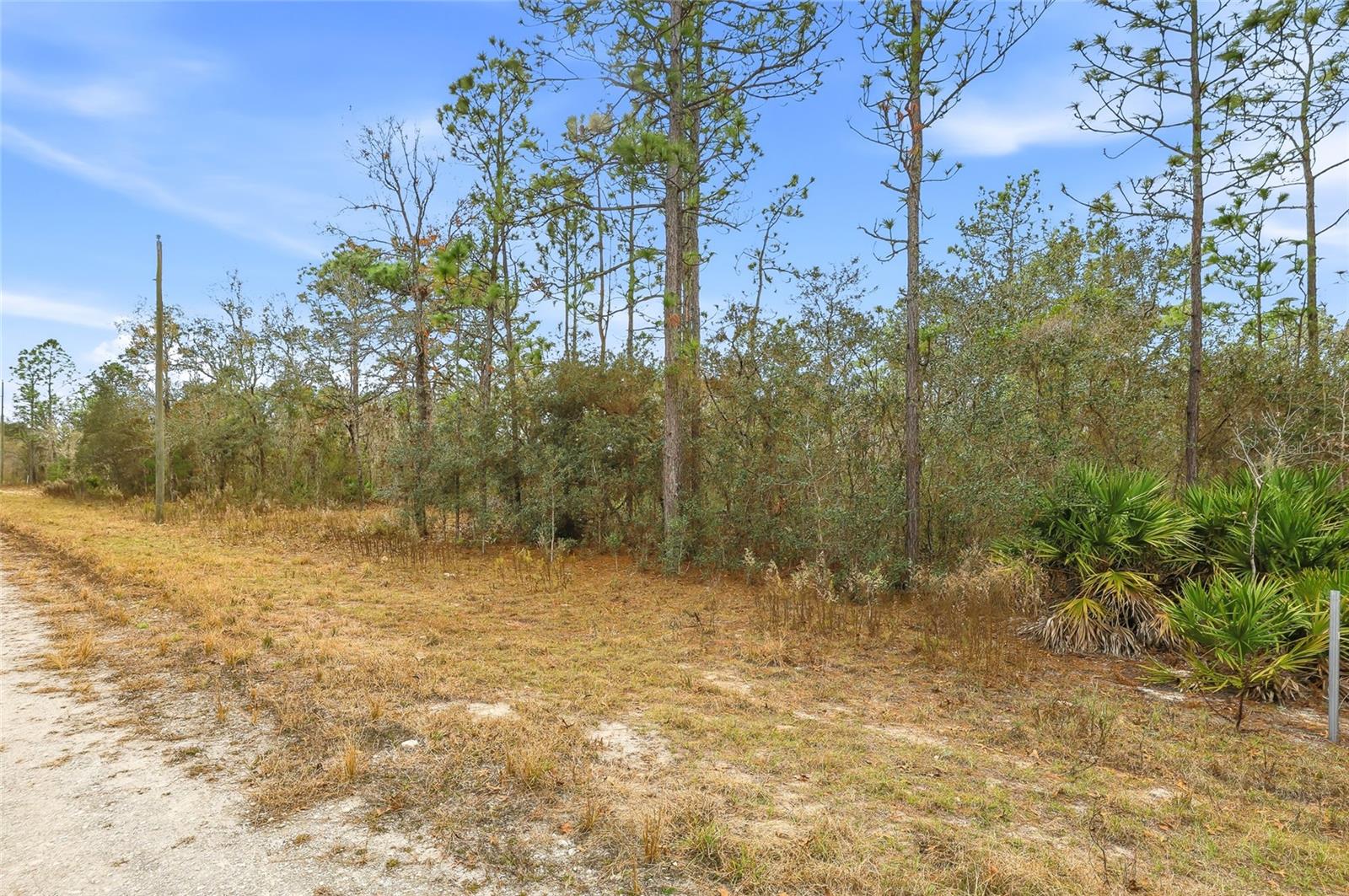 CAYMAN RD, WEEKI WACHEE, FL — photo 7