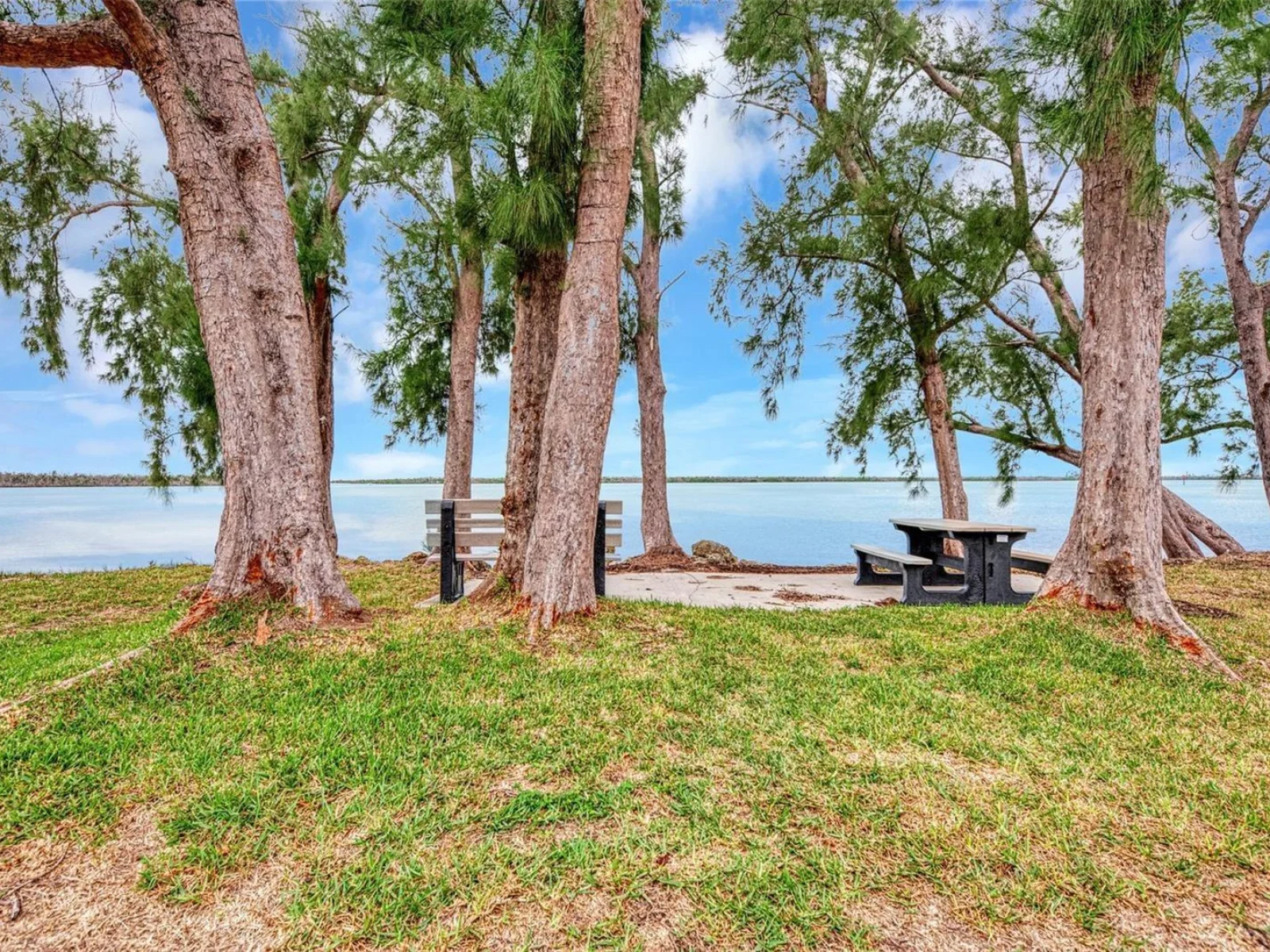 7500 PARK POINTE DR #45, ENGLEWOOD, FL — photo 51