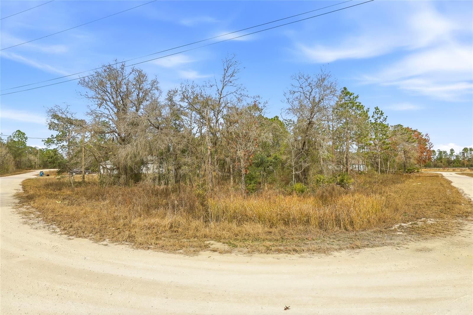 16364 CAYMAN RD, BROOKSVILLE, FL — photo 3
