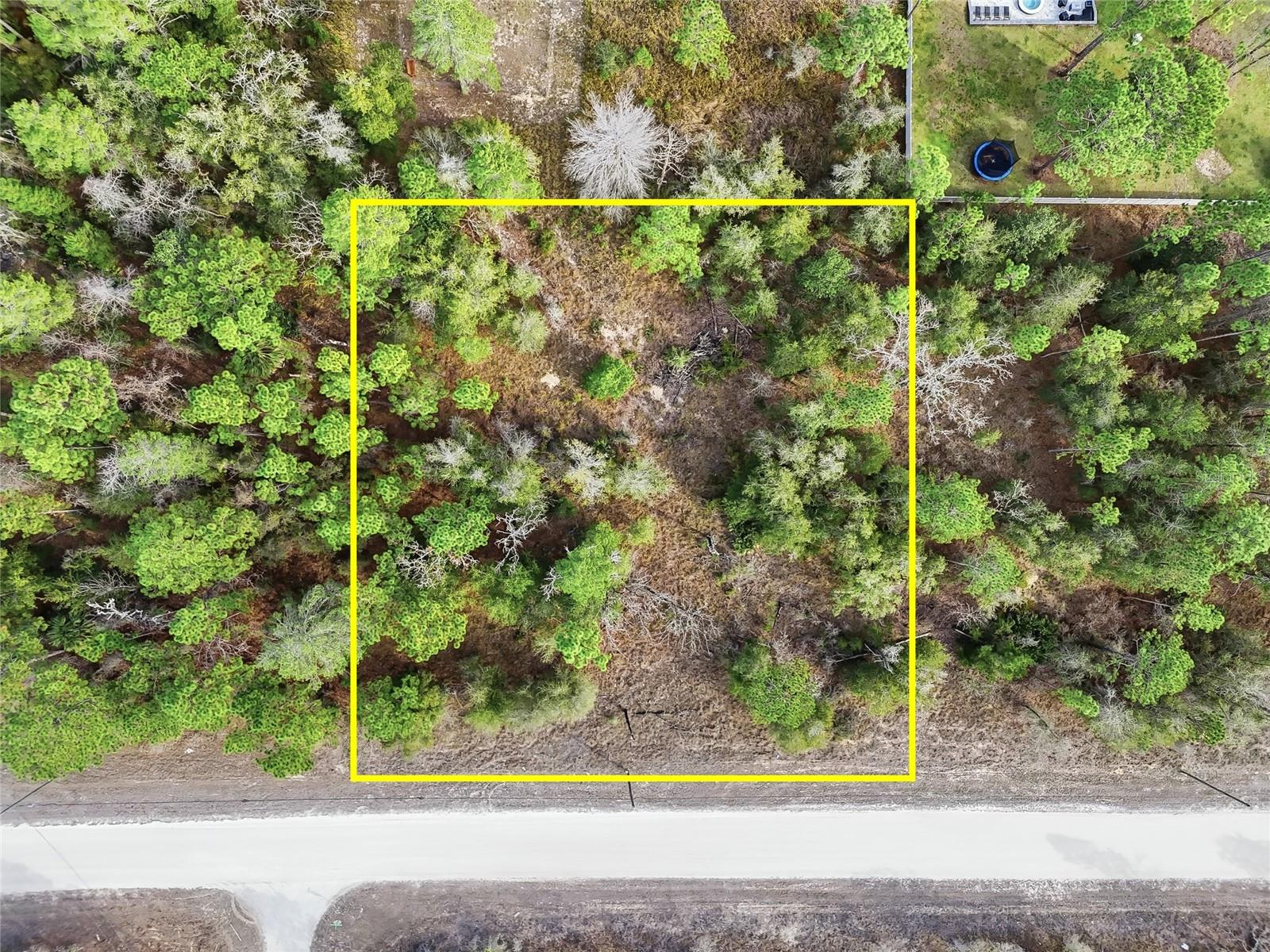 CHIMNEY SWIFT RD, WEEKI WACHEE, FL