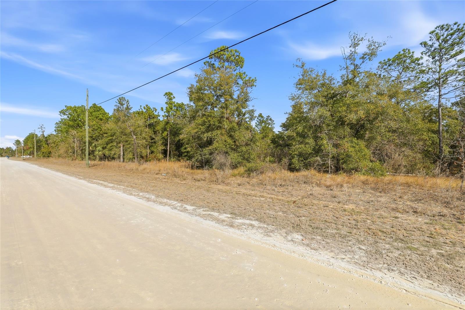 CHIMNEY SWIFT RD, WEEKI WACHEE, FL — photo 5