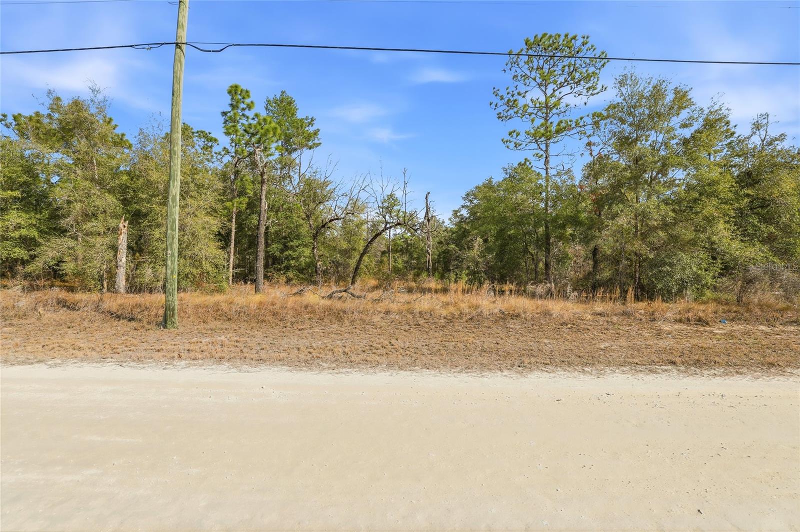CHIMNEY SWIFT RD, WEEKI WACHEE, FL — photo 7