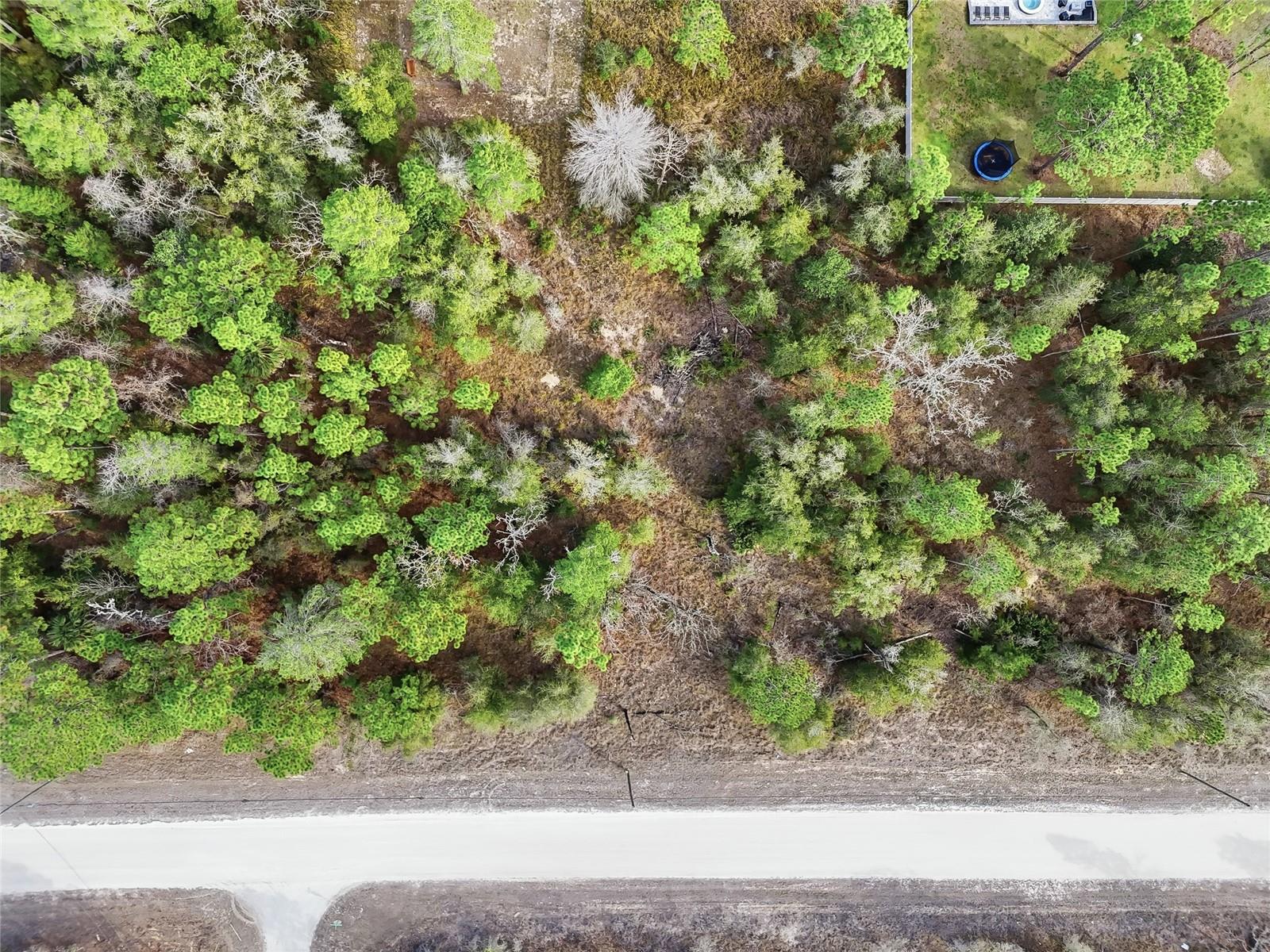 CHIMNEY SWIFT RD, WEEKI WACHEE, FL — photo 22