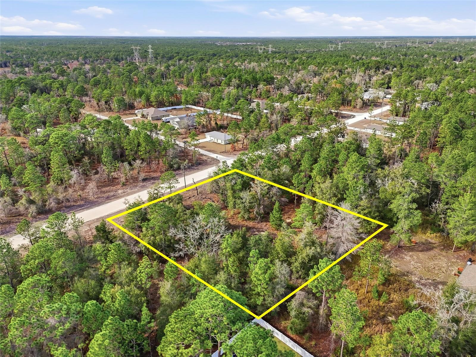 CHIMNEY SWIFT RD, WEEKI WACHEE, FL — photo 26