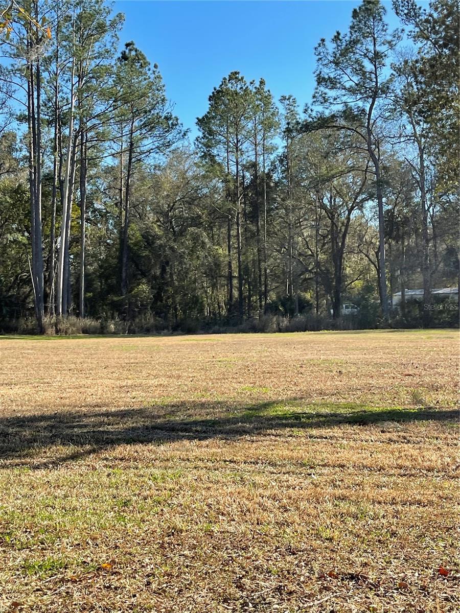 10379 NE HIGHWAY 314, SILVER SPRINGS, FL — photo 5