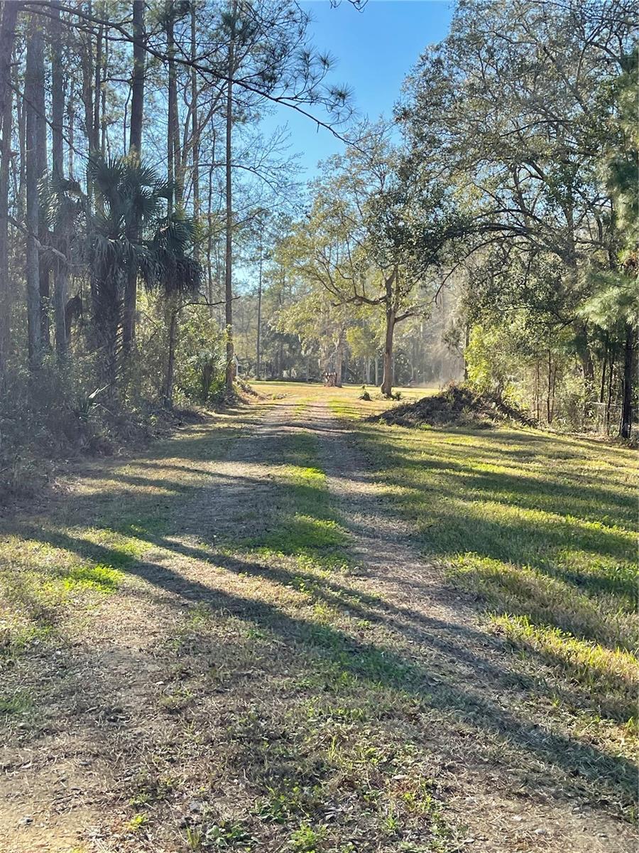 10379 NE HIGHWAY 314, SILVER SPRINGS, FL — photo 6