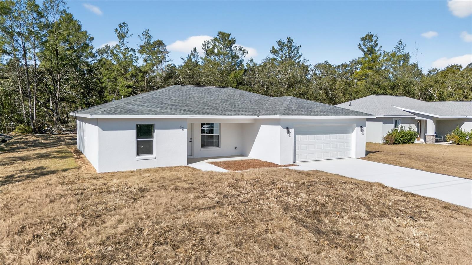 12 MALAUKA PASS, OCKLAWAHA, FL — photo 3