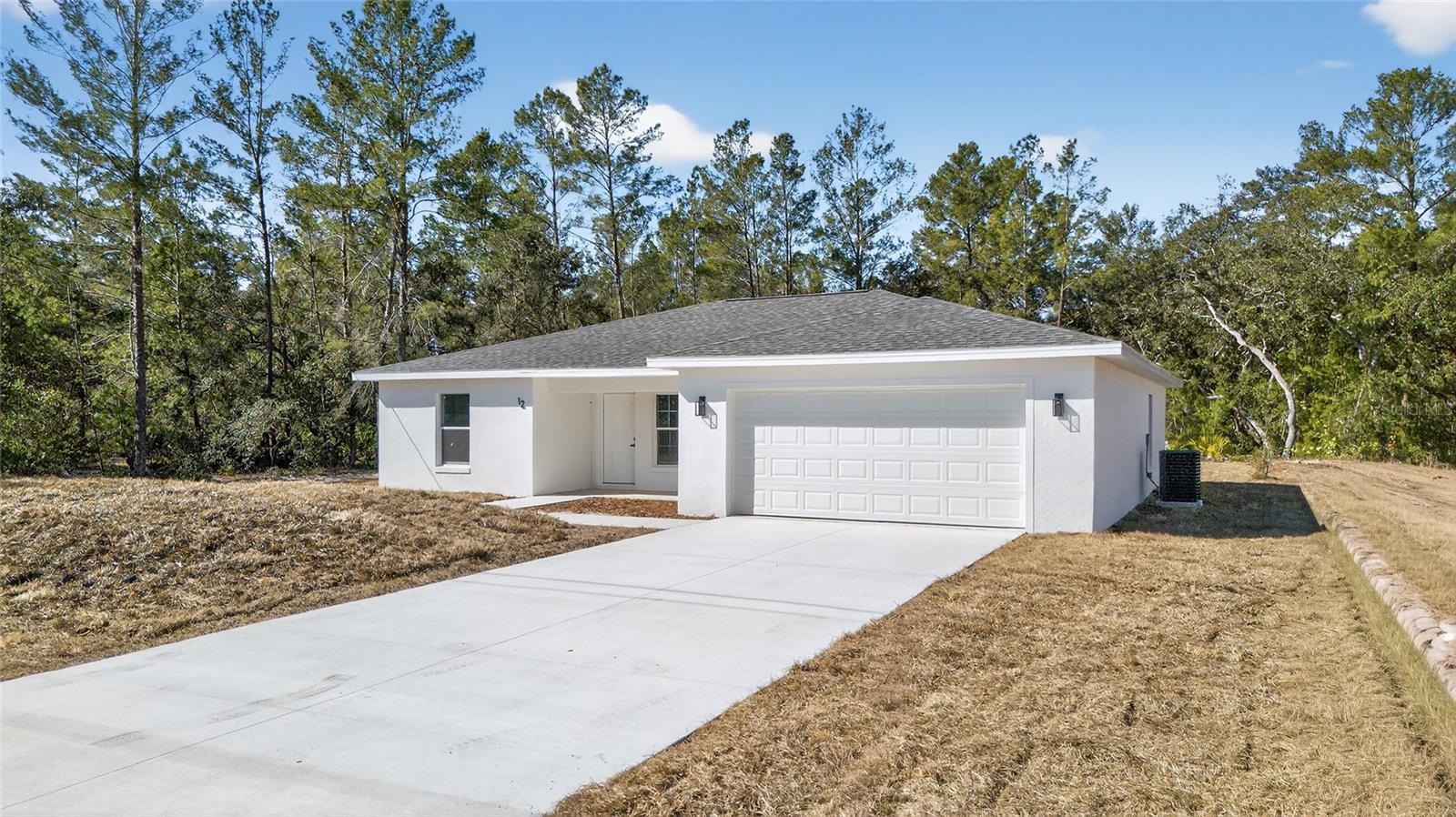12 MALAUKA PASS, OCKLAWAHA, FL