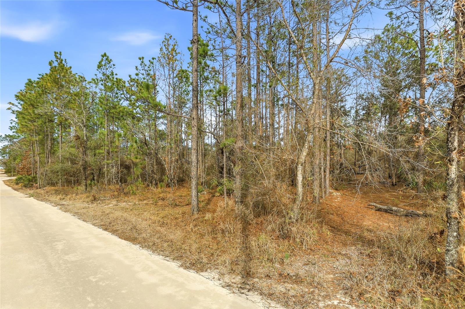 11388 THAMES AVE, BROOKSVILLE, FL — photo 6