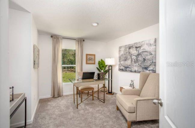 10072 N CONRAD PT, CITRUS SPRINGS, FL — photo 21