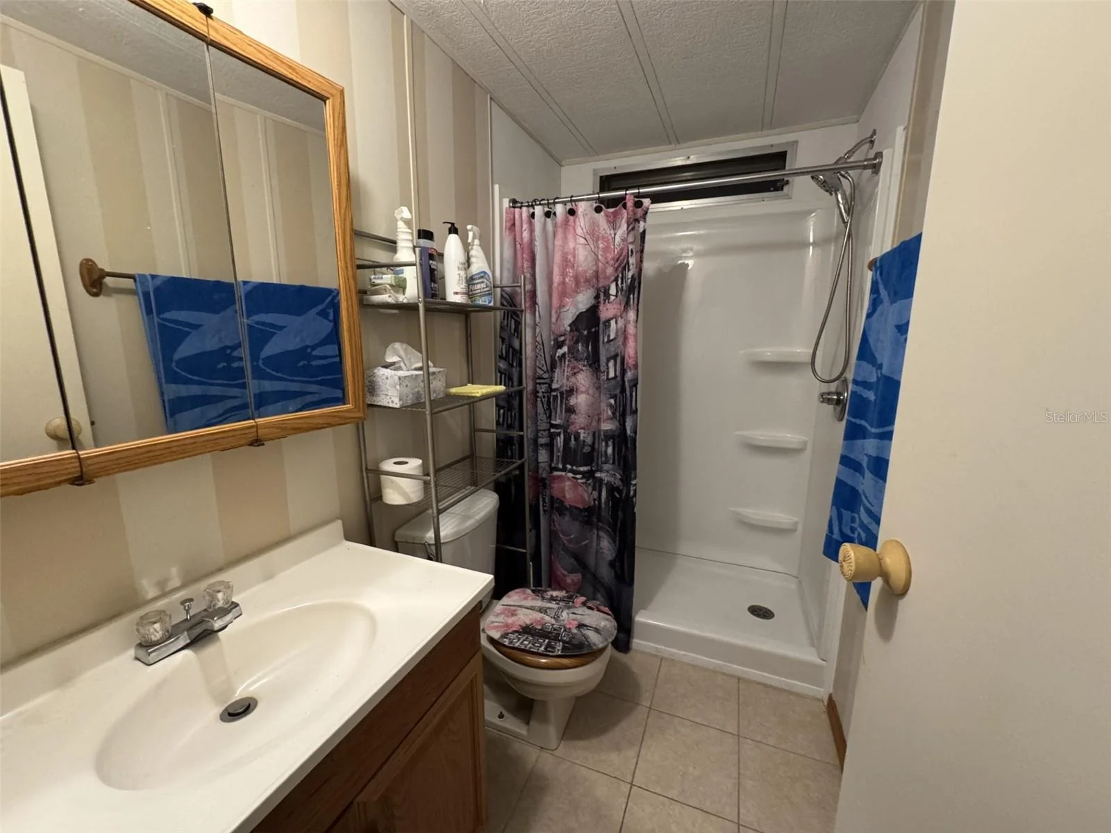 8508 BREEZE HILL DR, LAKE WALES, FL — photo 11