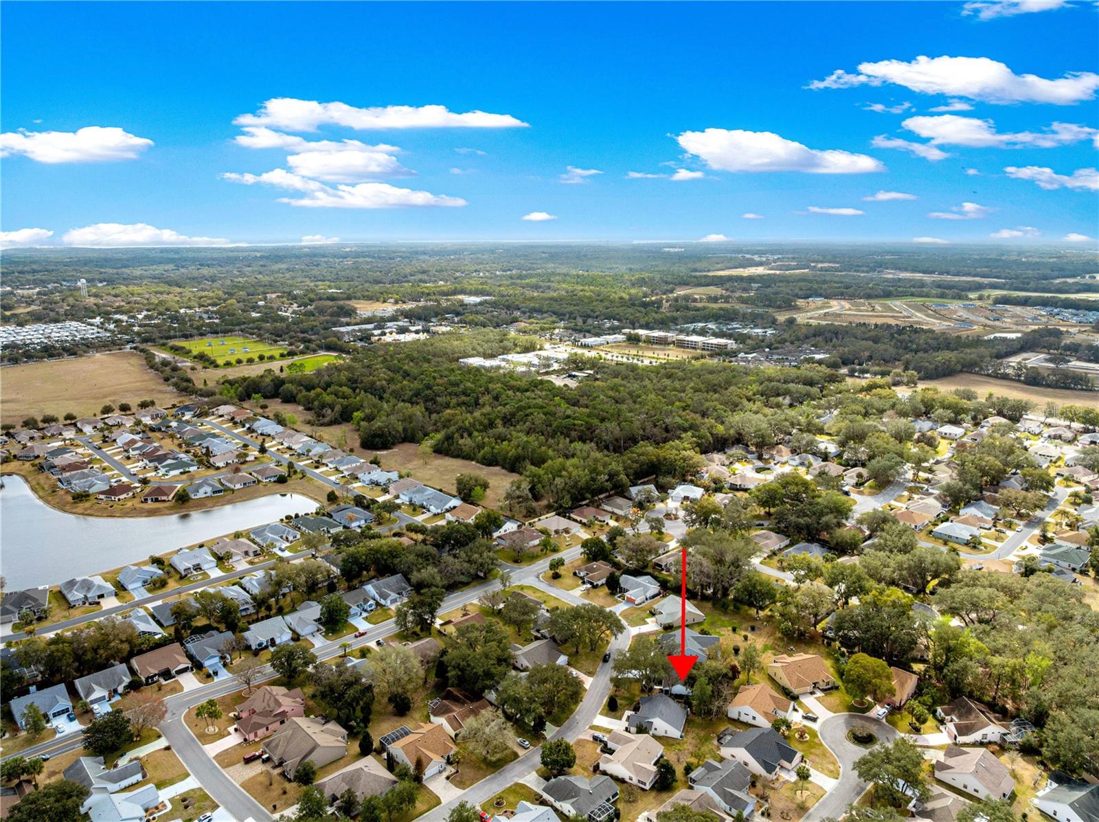 210 PALERMO PL, LADY LAKE, FL — photo 139