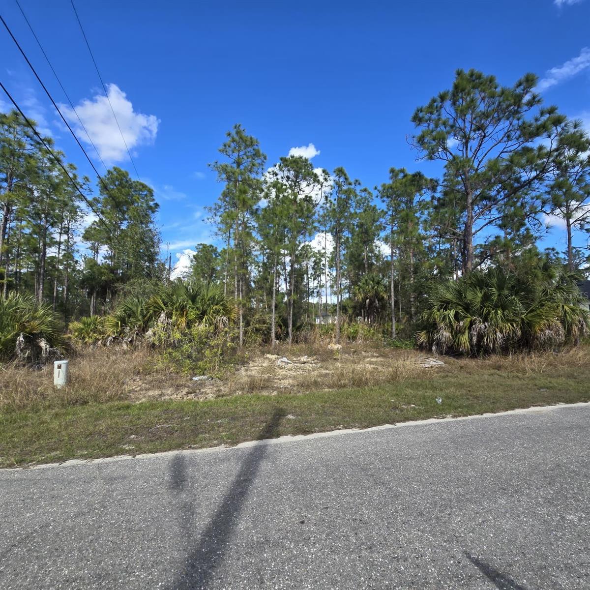 2603 E 13TH ST, LEHIGH ACRES, FL