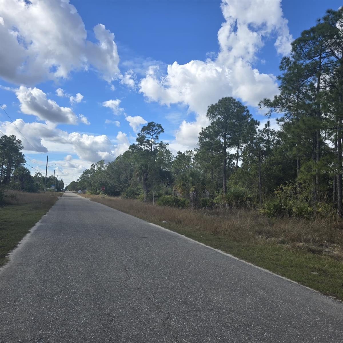 2603 E 13TH ST, LEHIGH ACRES, FL — photo 9