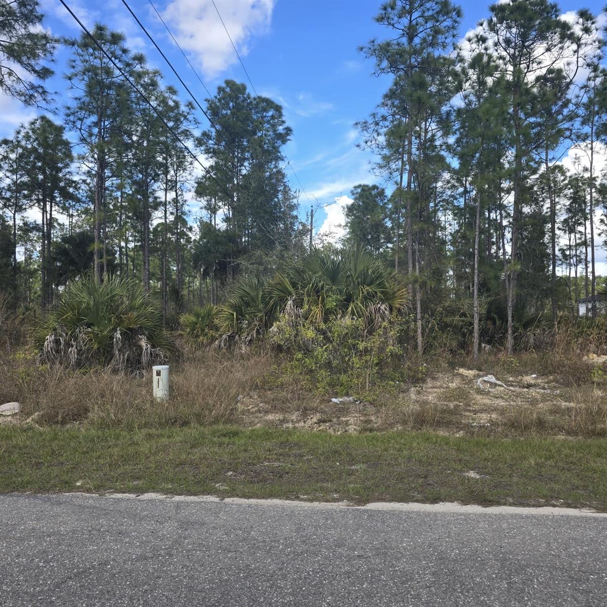2603 E 13TH ST, LEHIGH ACRES, FL — photo 12