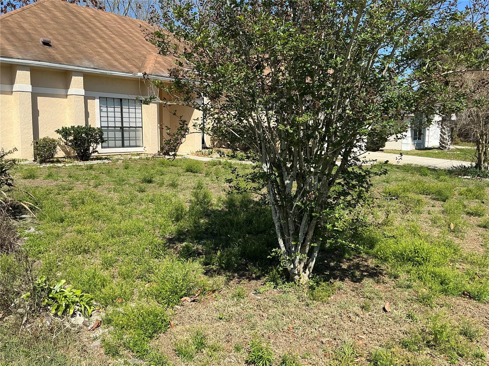 1009 CORKWOOD DR, OVIEDO, FL — photo 4