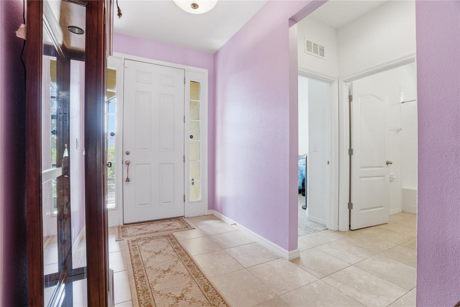 10420 PLEASANT SPRING WAY, RIVERVIEW, FL — photo 7