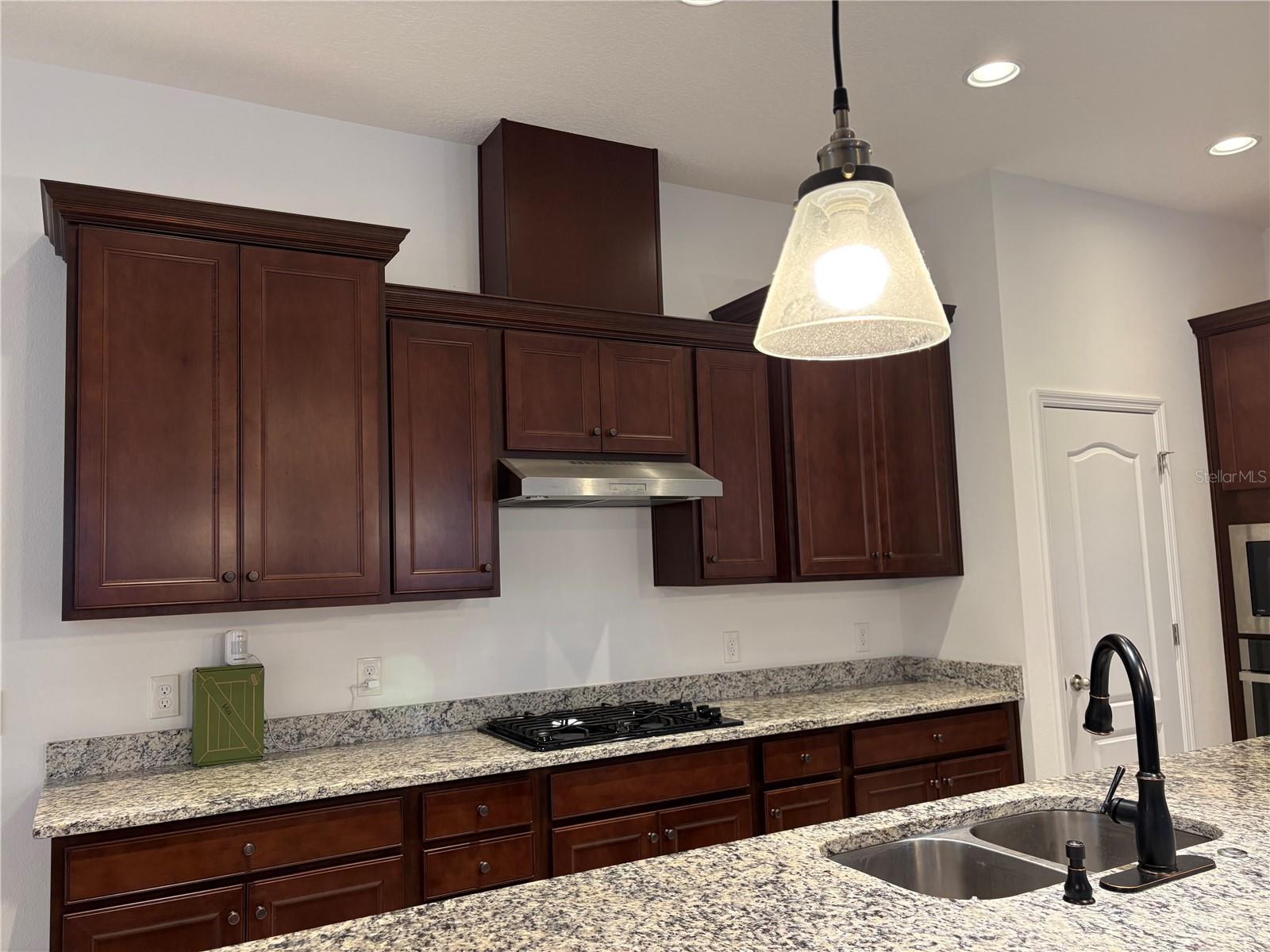 1872 IBIS BAY CT, OCOEE, FL — photo 18