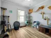 2781 SUN KEY PL — photo 61