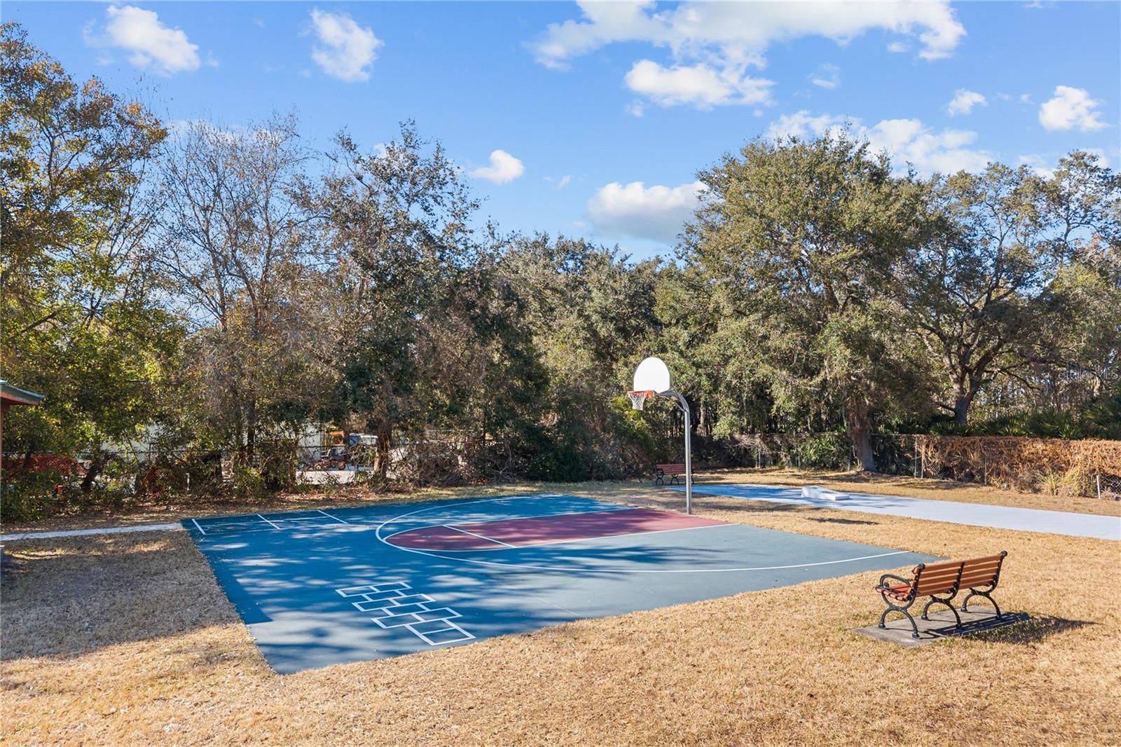 5039 GREENBRIAR TRL, MOUNT DORA, FL — photo 101