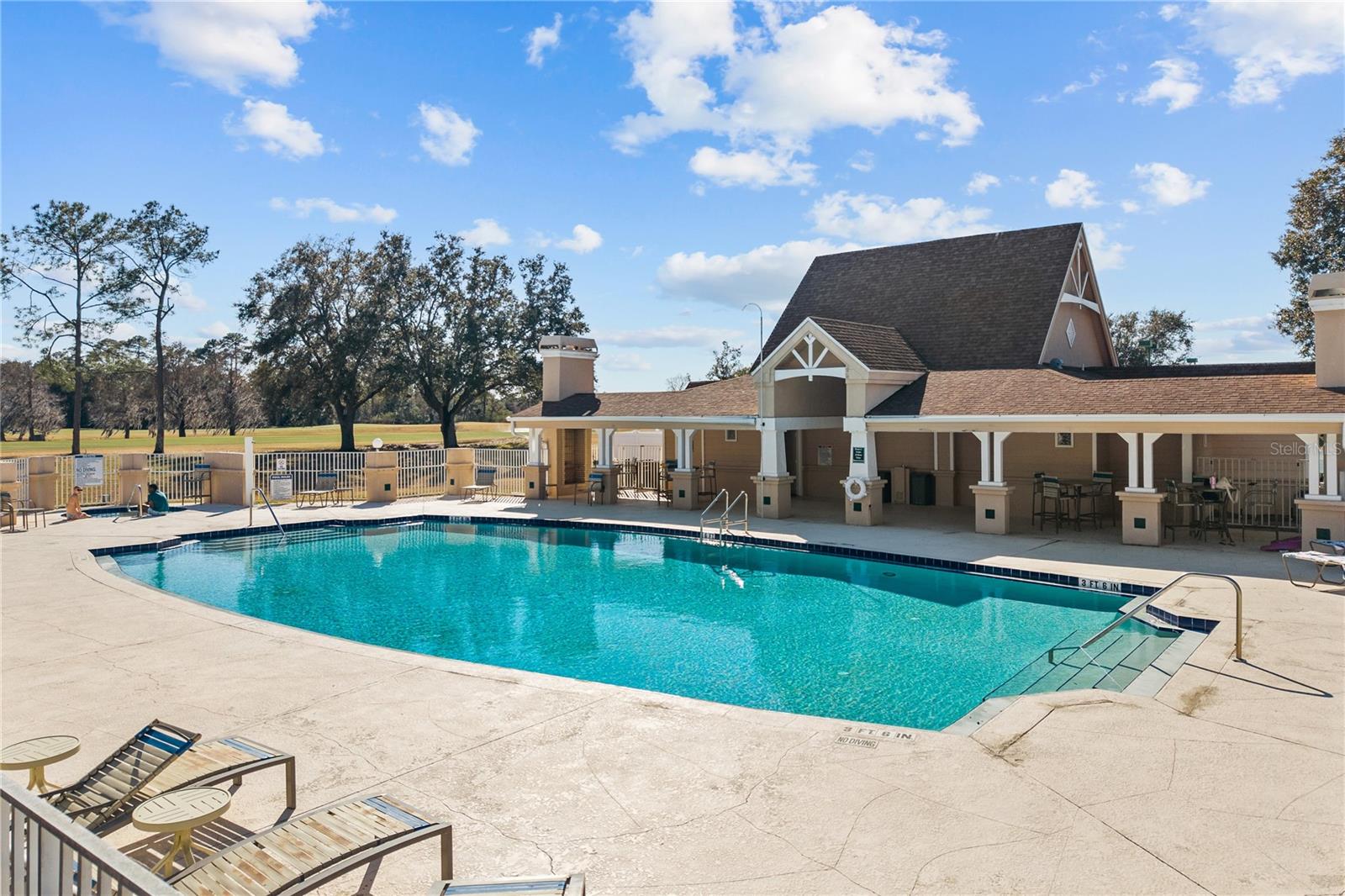 5039 GREENBRIAR TRL, MOUNT DORA, FL — photo 120