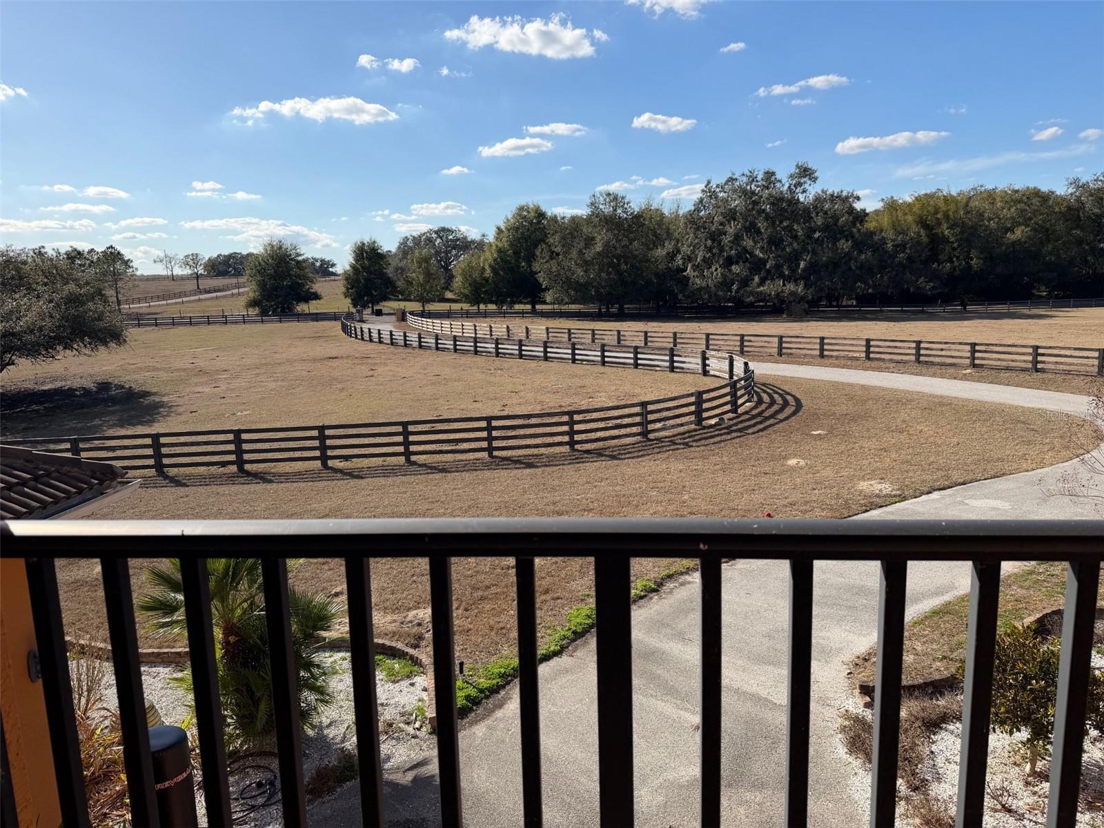 20832 HUNTER HILL DR, DADE CITY, FL — photo 23
