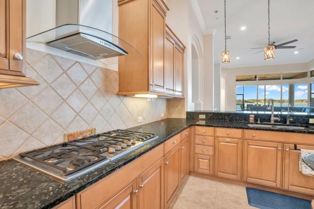 3040 HIGHLANDS BY THE LAKE WAY, LAKELAND, FL — photo 15