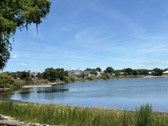 29 SR-60, LAKE WALES, FL — photo 34