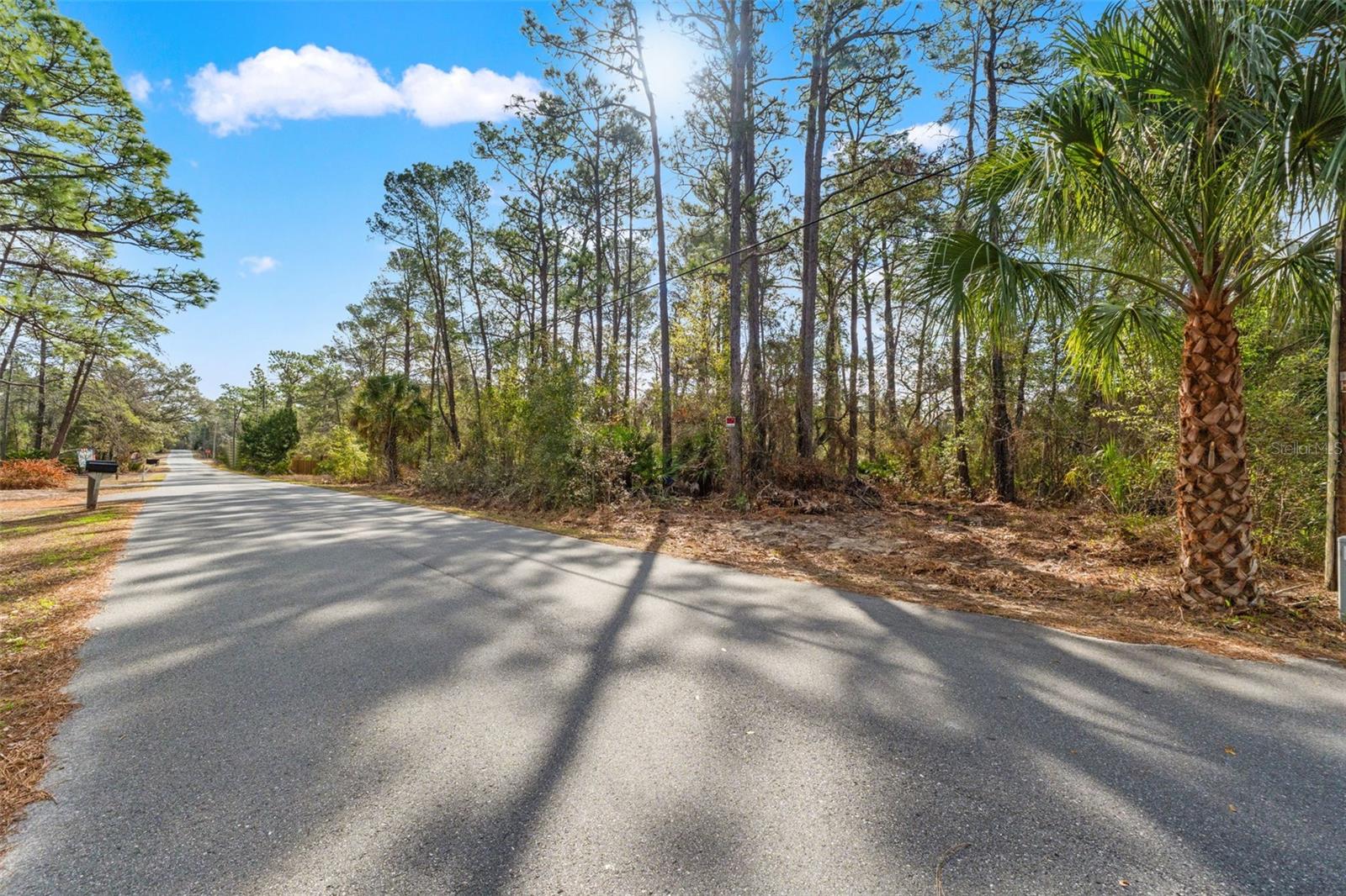 9142 MICHIGAN AVE, WEEKI WACHEE, FL — photo 2