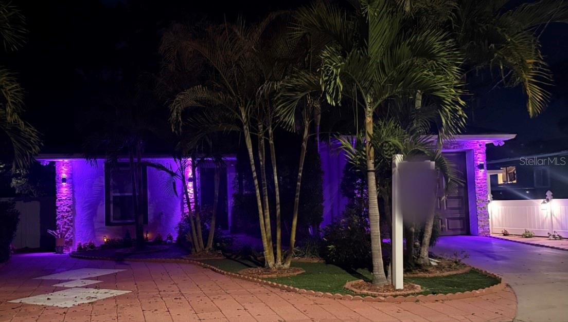 3306 E CHELSEA ST, TAMPA, FL — photo 6