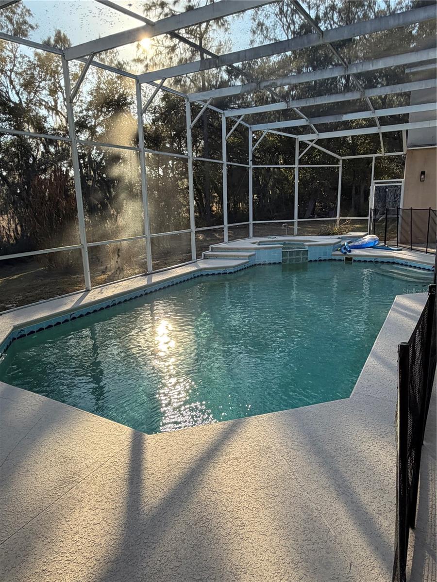218 PINEY WOODS, APOPKA, FL — photo 4