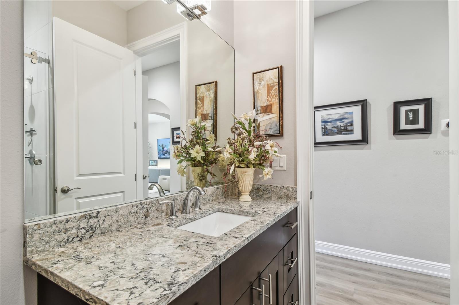 17 FRANKLIN CT S #C, ST PETERSBURG, FL — photo 37