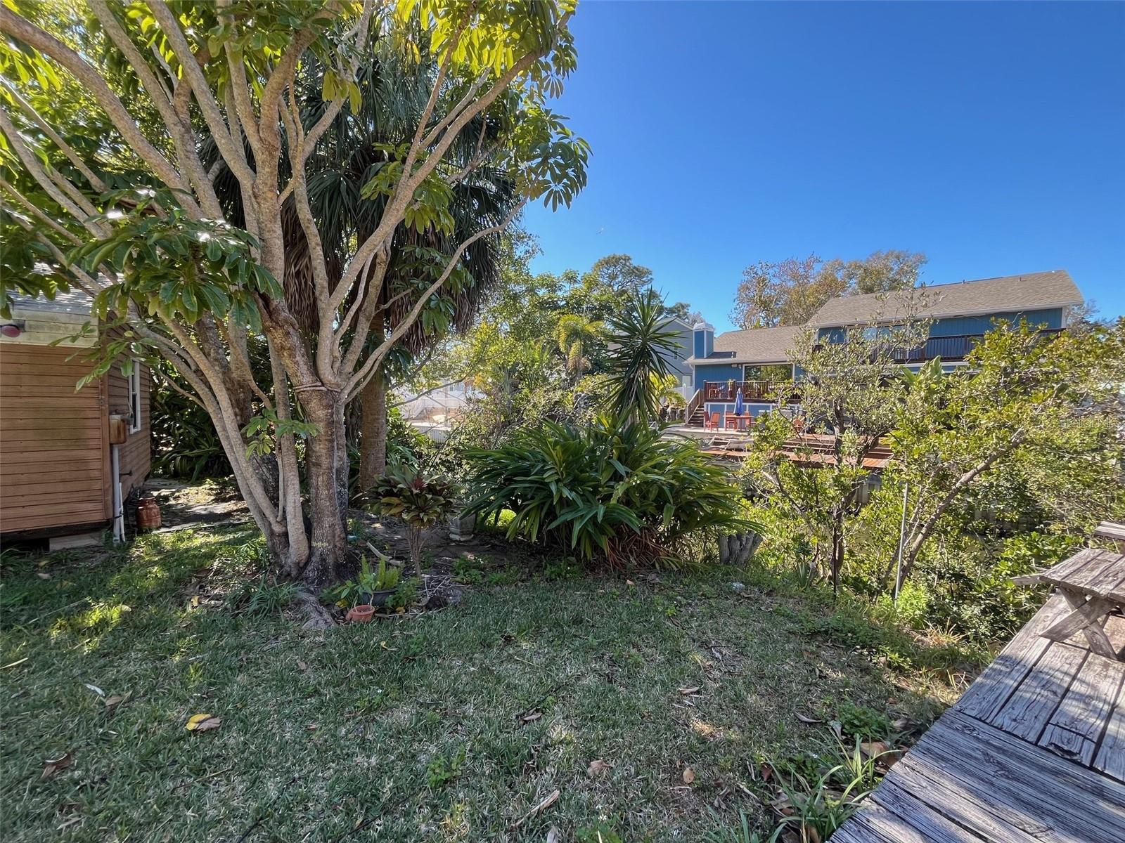 Lot 96 BLUE JAY CIR, PALM HARBOR, FL — photo 4