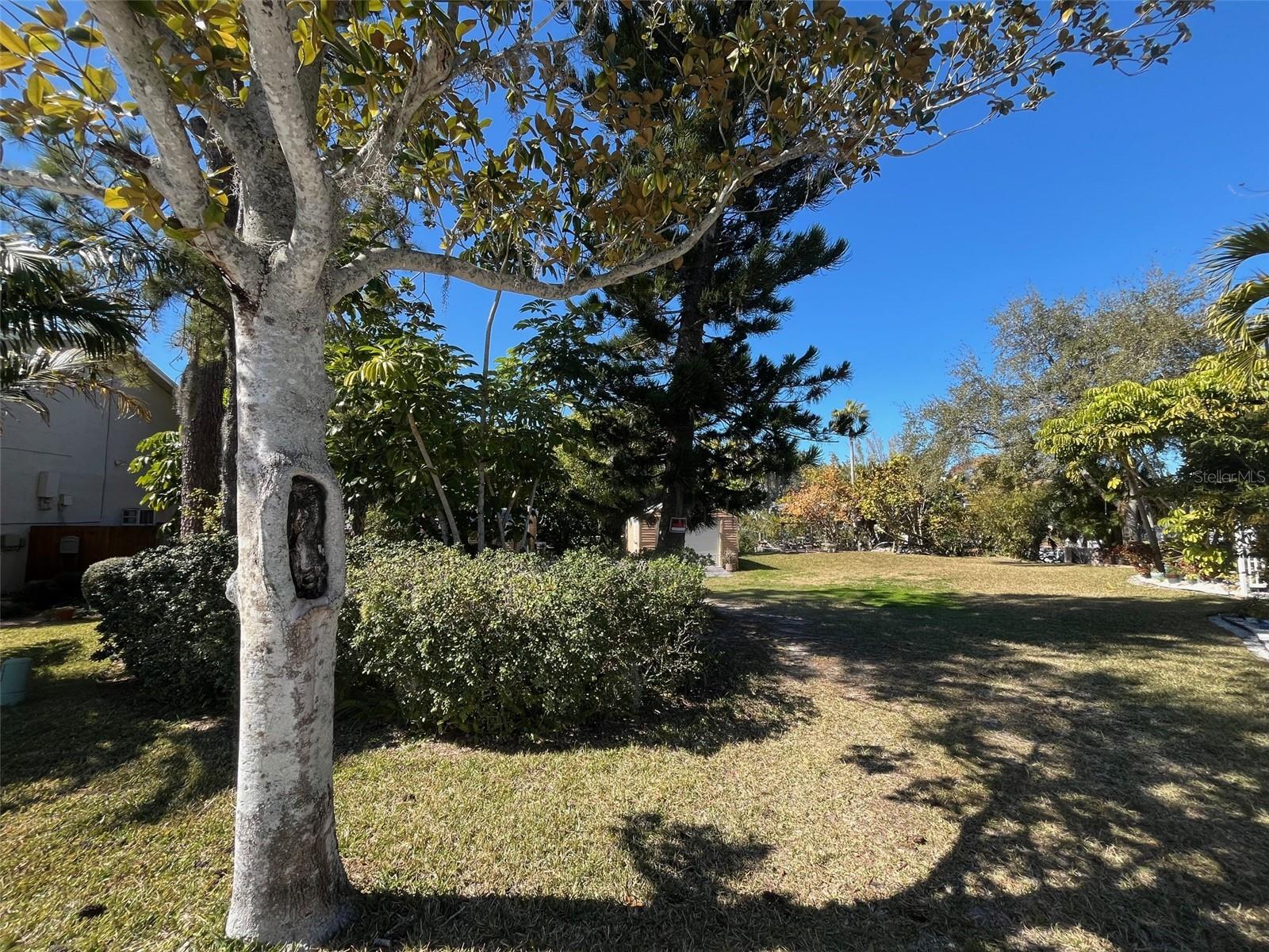 Lot 96 BLUE JAY CIR, PALM HARBOR, FL — photo 11