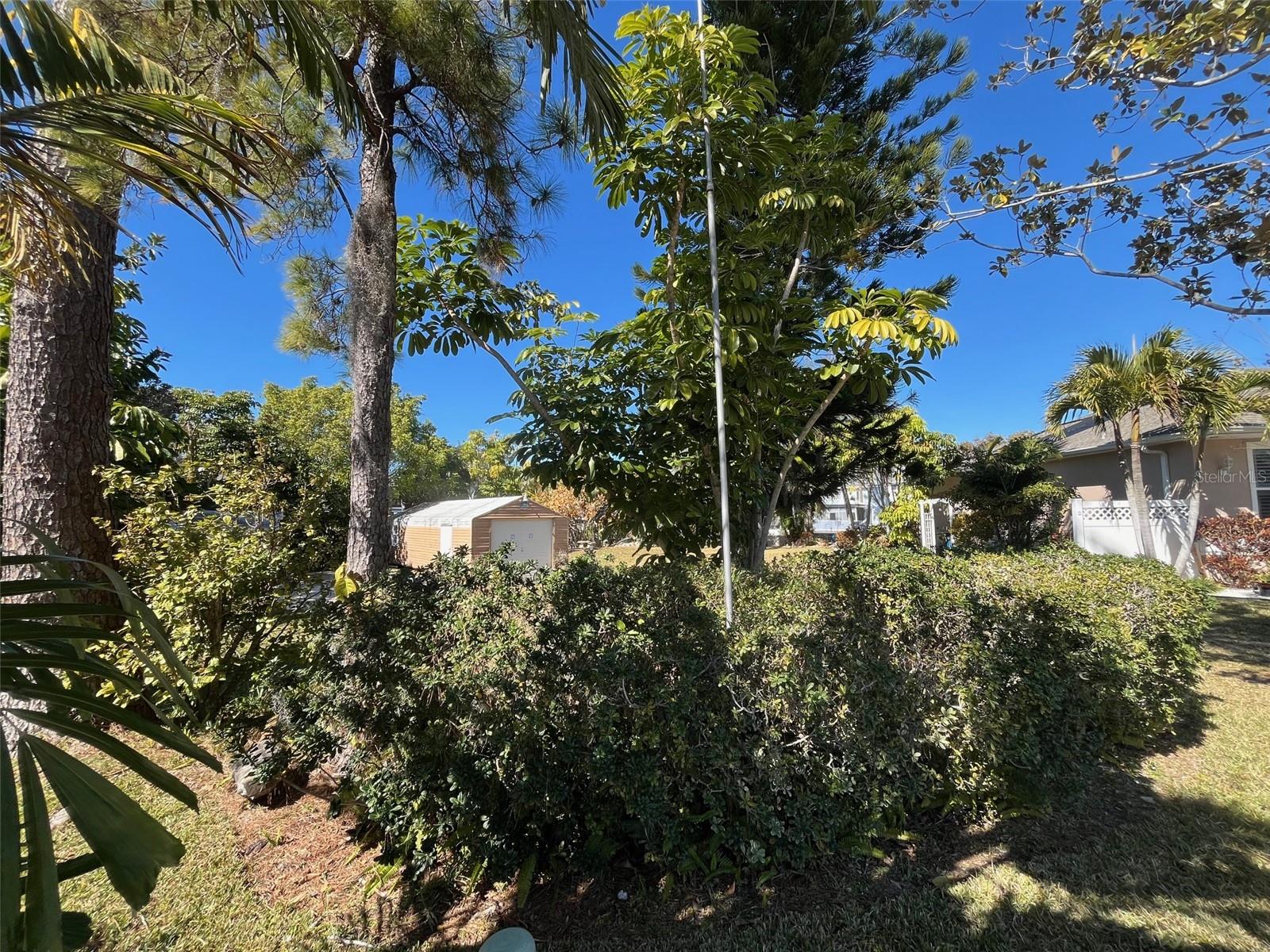 Lot 96 BLUE JAY CIR, PALM HARBOR, FL — photo 13