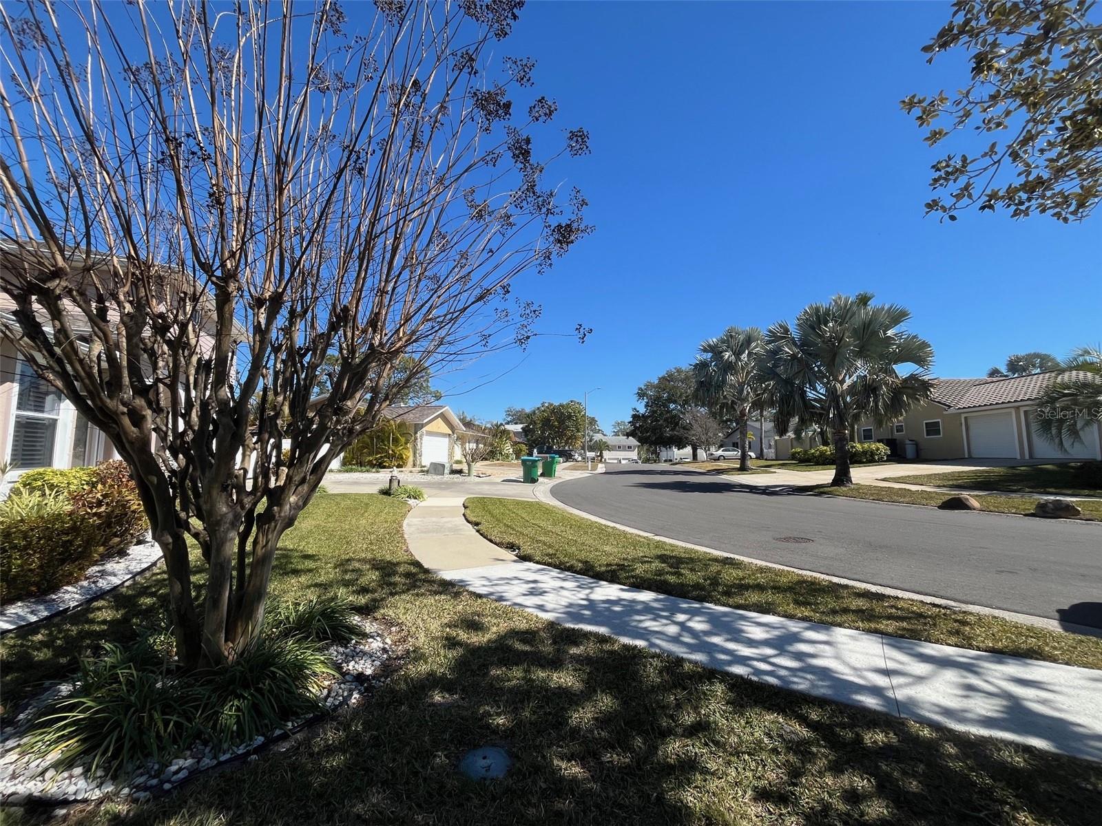 Lot 96 BLUE JAY CIR, PALM HARBOR, FL — photo 22