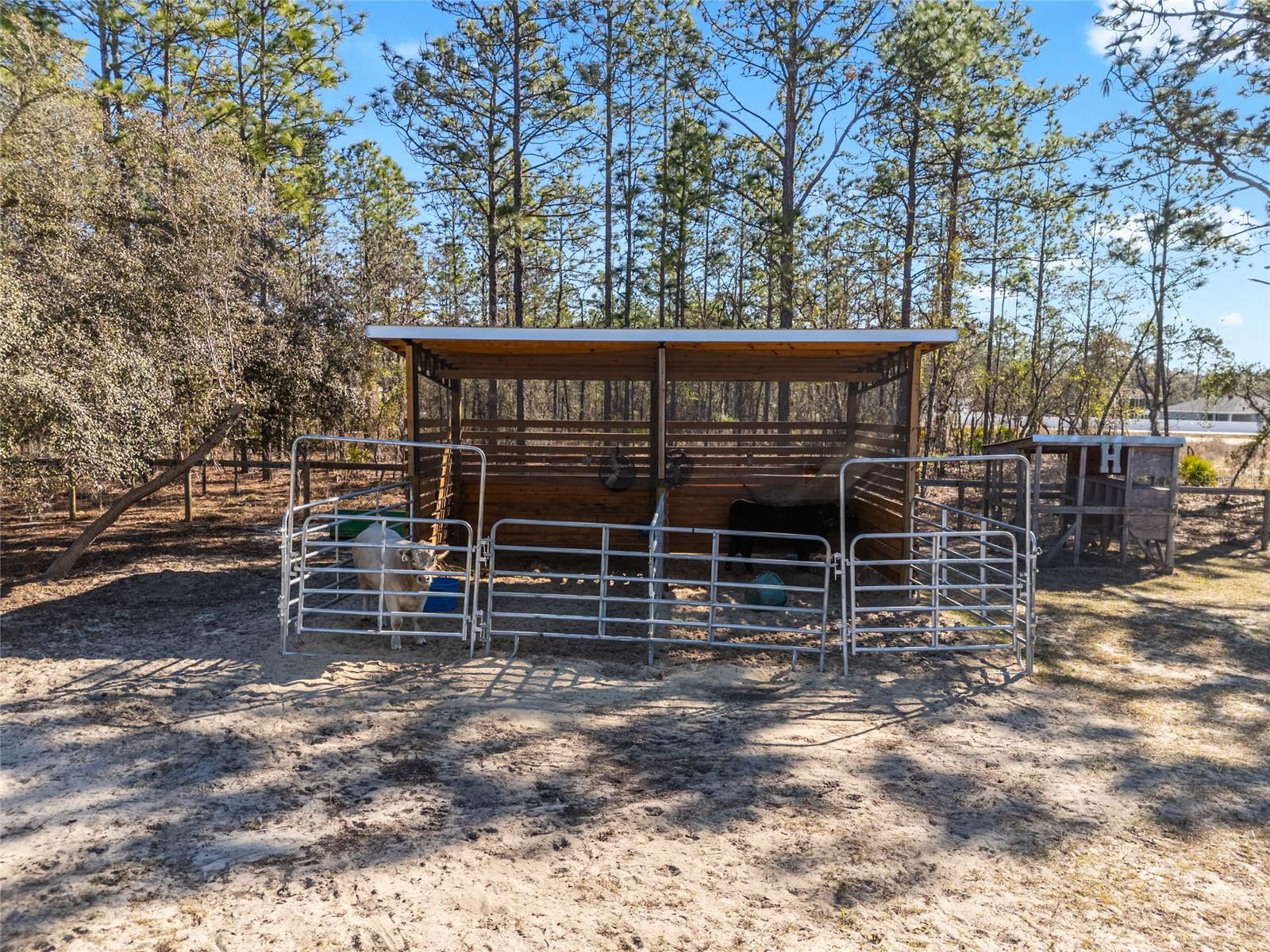 8855 SW 129TH TERRACE RD, DUNNELLON, FL — photo 60